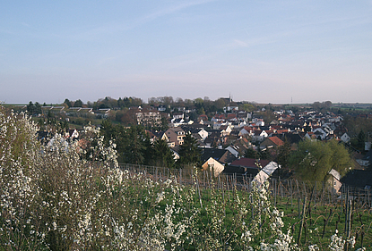 Hechtsheim