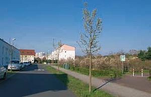 OEDP-Aktiv-Kommunalwahl-2014-Gonsenheim-E8-Internet-Baeume