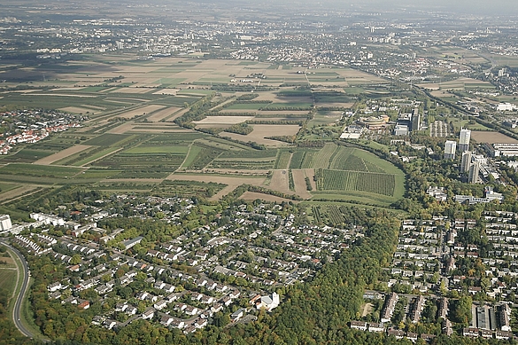 Draiser Senke zwischen Drais und Lerchenberg