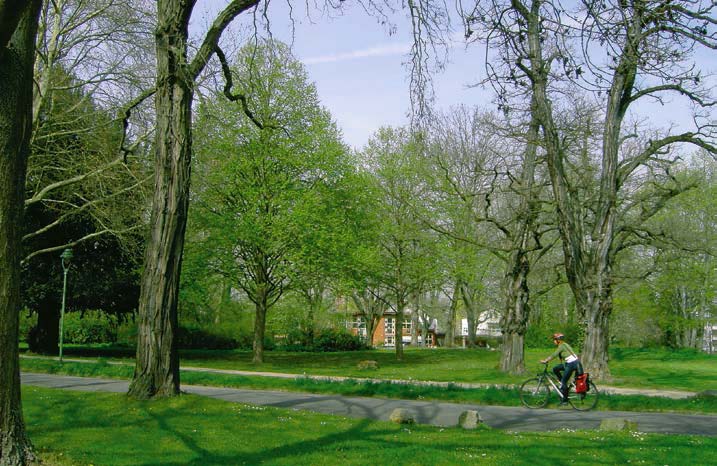 Grüngürtel Oberstadt Grüngürtel Oberstadt